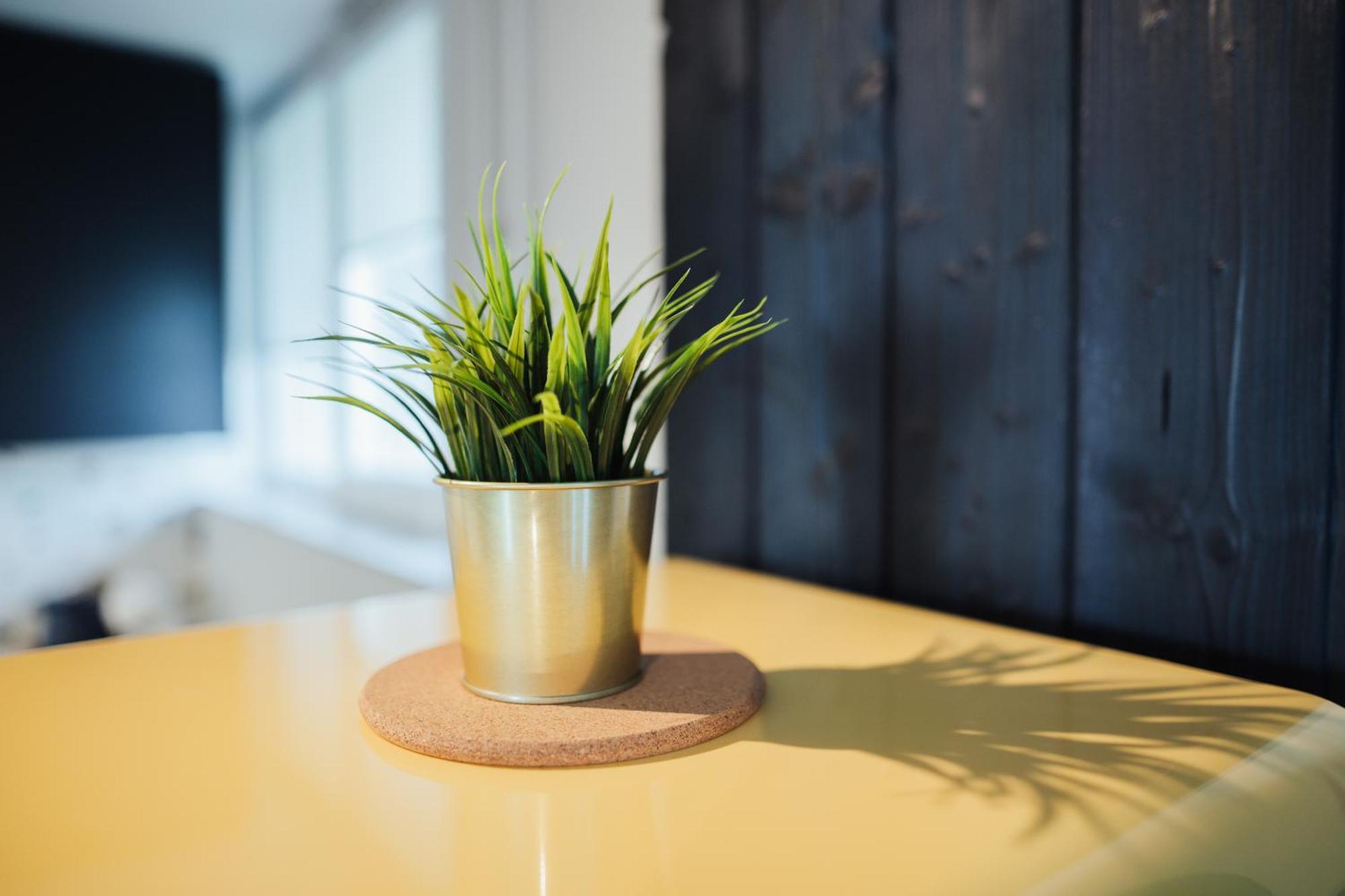 Apartment Sunny Coast Liepaja